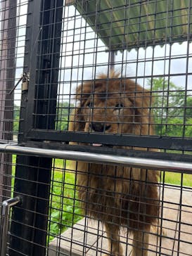 那須サファリパークに投稿された画像（2023/6/30）