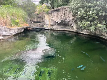 天王寺動物園に投稿された画像（2023/6/30）