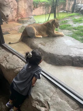 天王寺動物園に投稿された画像（2023/6/30）