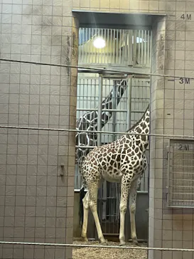 天王寺動物園に投稿された画像（2023/6/30）