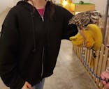 Moff アニマル カフェ イーアス 高尾店に投稿された画像（2023/7/1）