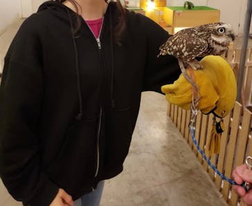 Moff アニマル カフェ イーアス 高尾店に投稿された画像（2023/6/30）