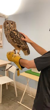 Moff アニマル カフェ イーアス 高尾店に投稿された画像（2023/6/30）