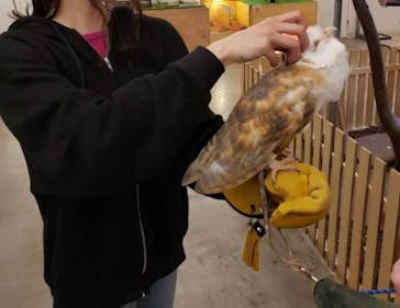 Moff アニマル カフェ イーアス 高尾店に投稿された画像（2023/6/30）