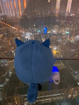 梅田スカイビル・空中庭園展望台に投稿された画像（2023/6/30）