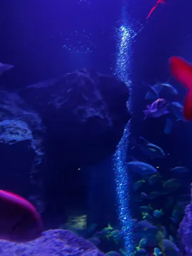 すみだ水族館に投稿された画像（2023/7/1）