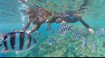 武藤潜水に投稿された画像（2023/7/1）