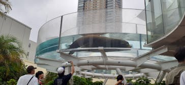 サンシャイン水族館に投稿された画像（2023/7/1）