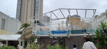 サンシャイン水族館に投稿された画像（2023/7/1）