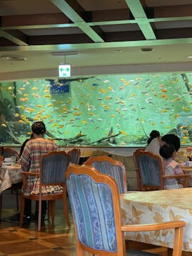 名古屋港水族館に投稿された画像（2023/7/1）