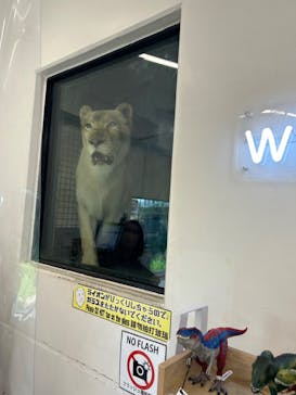 沖縄こどもの国に投稿された画像（2023/7/1）