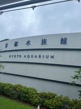 京都水族館に投稿された画像（2023/7/1）