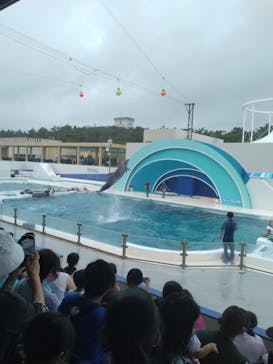 鴨川シーワールドに投稿された画像（2023/7/1）