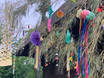 三溪園に投稿された画像（2023/7/1）