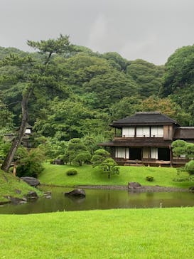 三溪園に投稿された画像（2023/7/1）