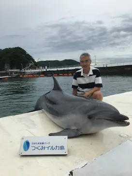 うみたま体験パーク 「つくみイルカ島」に投稿された画像（2023/7/1）
