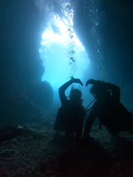 武藤潜水に投稿された画像（2023/7/1）