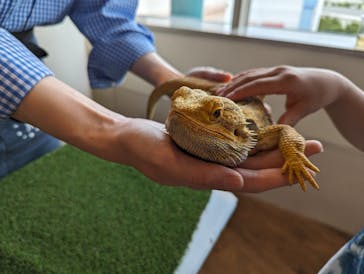 Moff animal cafe 小田原ダイナシティ店に投稿された画像（2023/7/1）