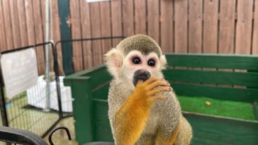 しろとり動物園に投稿された画像（2023/7/1）