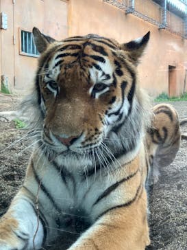 那須どうぶつ王国に投稿された画像（2023/7/1）