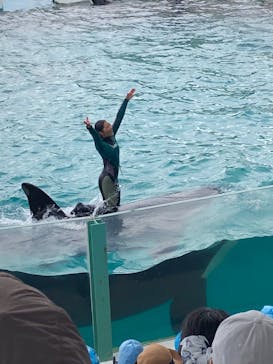 鴨川シーワールドに投稿された画像（2023/7/1）