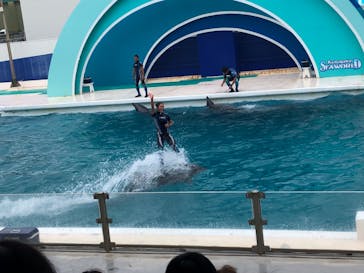 鴨川シーワールドに投稿された画像（2023/7/1）