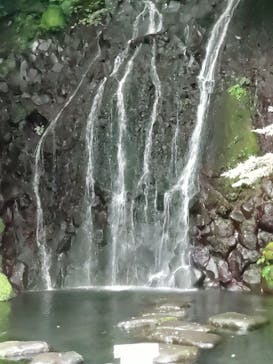 箱根湯本温泉 天成園に投稿された画像（2023/7/1）