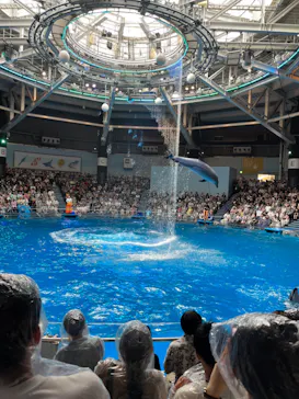 マクセル アクアパーク品川に投稿された画像（2023/7/1）