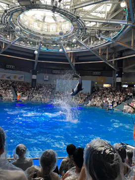 マクセル アクアパーク品川に投稿された画像（2023/7/1）