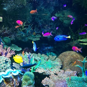 サンシャイン水族館に投稿された画像（2023/7/1）