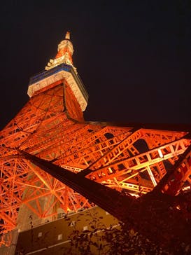 東京タワーに投稿された画像（2023/7/1）