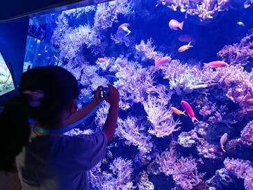 名古屋港水族館に投稿された画像（2023/7/1）