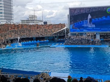 名古屋港水族館に投稿された画像（2023/7/1）