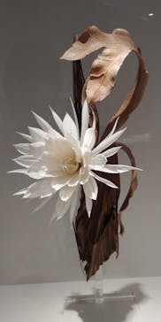 あべのハルカス美術館に投稿された画像（2023/7/1）