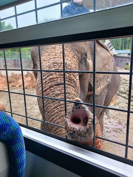 那須サファリパークに投稿された画像（2023/7/1）