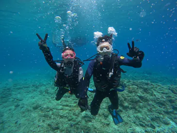 武藤潜水に投稿された画像（2023/7/1）