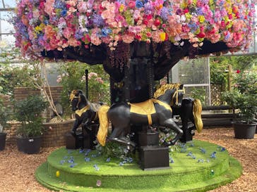 京成バラ園に投稿された画像（2023/7/1）