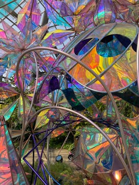 京成バラ園に投稿された画像（2023/7/1）