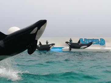 鴨川シーワールドに投稿された画像（2023/7/1）