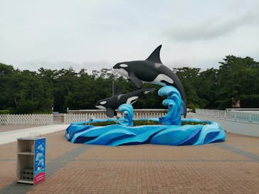 鴨川シーワールドに投稿された画像（2023/7/1）