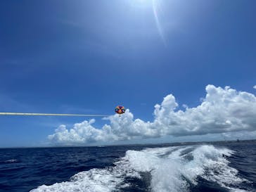 Sea World（シーワールド）に投稿された画像（2023/7/1）