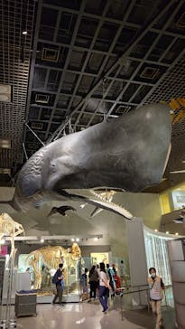 国立科学博物館に投稿された画像（2023/7/1）