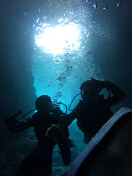 武藤潜水に投稿された画像（2023/7/2）