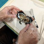 カワスイ 川崎⽔族館に投稿された画像（2023/7/2）