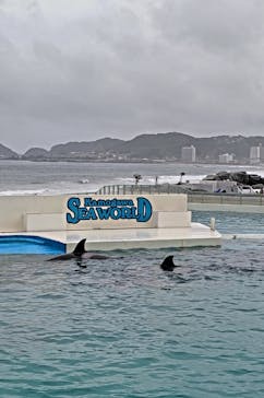 鴨川シーワールドに投稿された画像（2023/7/2）