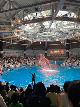 マクセル アクアパーク品川に投稿された画像（2023/7/2）