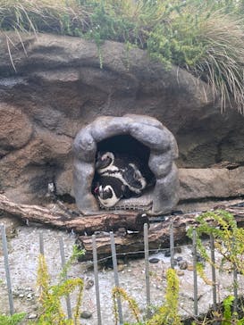 サンシャイン水族館に投稿された画像（2023/7/2）