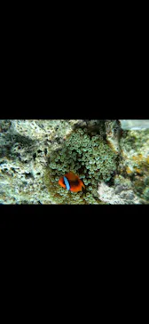 武藤潜水に投稿された画像（2023/7/2）