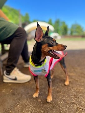 わんダフルネイチャーヴィレッジに投稿された画像（2023/7/2）