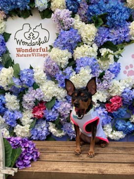 わんダフルネイチャーヴィレッジに投稿された画像（2023/7/2）